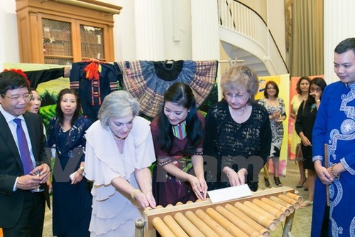 Vietnamese culture shines in US  - ảnh 1